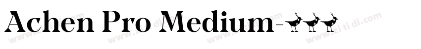 Achen Pro Medium字体转换 Achen Pro Medium字体转换